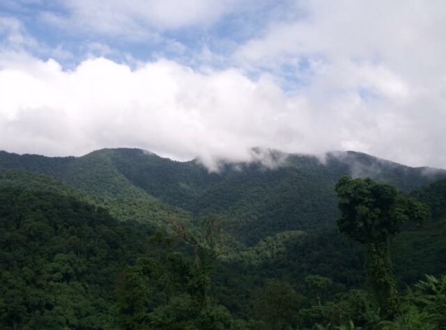 Khe Nuoc Trong forest, Vietnam