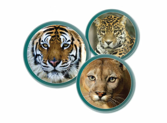 Big Cat Appeal Logo
