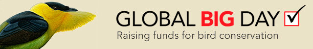 Global Big Day banner.
