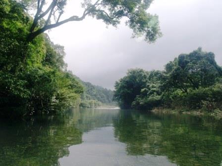Khe Nuoc Trong forest, Vietnam