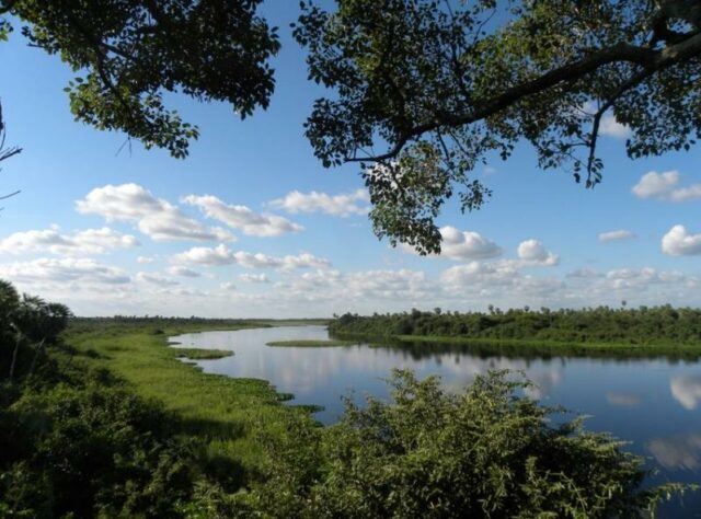 View over the Chao-Pantanal reserve in Paraguay, from the viewing tower.