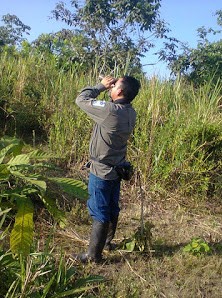 Ranger Armando