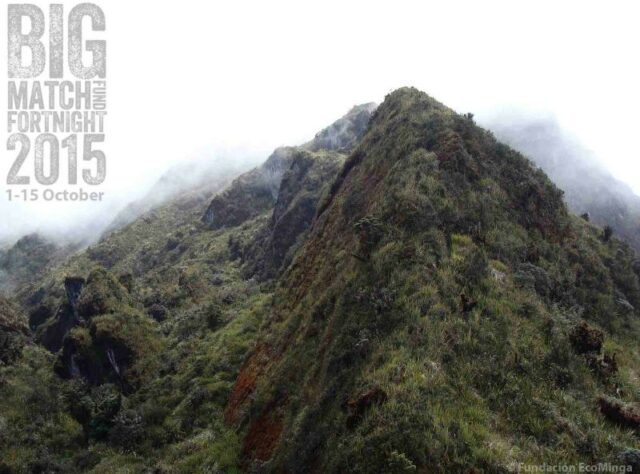 Paramo on Cerro Candelaria.