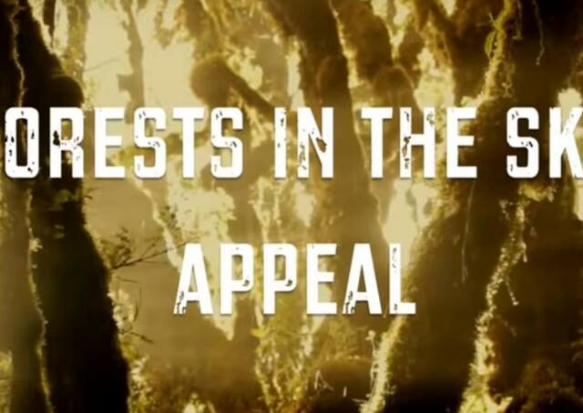 The words Forests in the Sky Appeal against a shot of trees in mist.