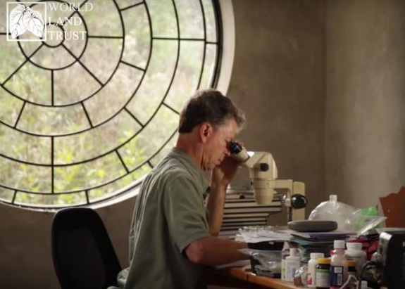 Lou Jost studying orchids through a microscope.
