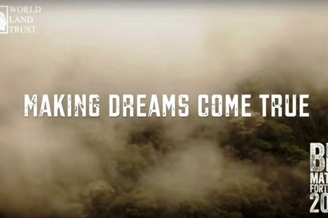 Making dreams come true screen shot.