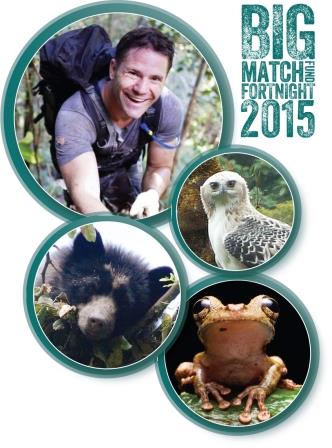 Big Match Fortnight 2015 logo.