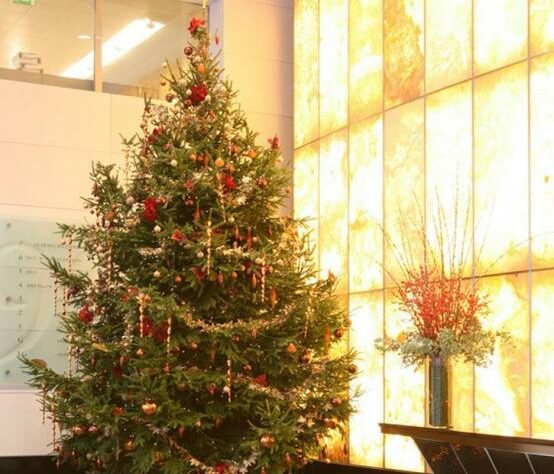 A decorated Christmas tree supplied by Enterprise Plants.