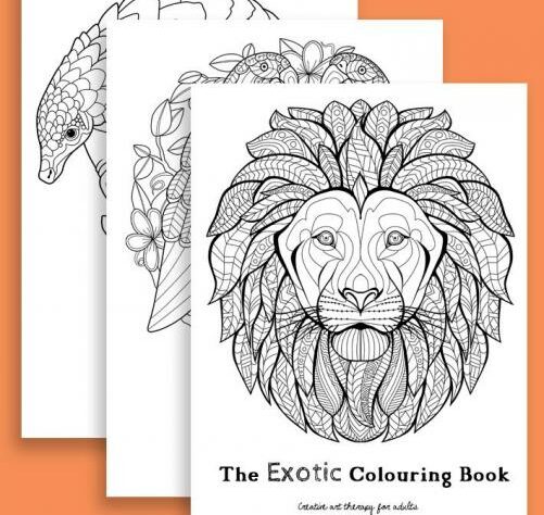 Exotic Colouring Book