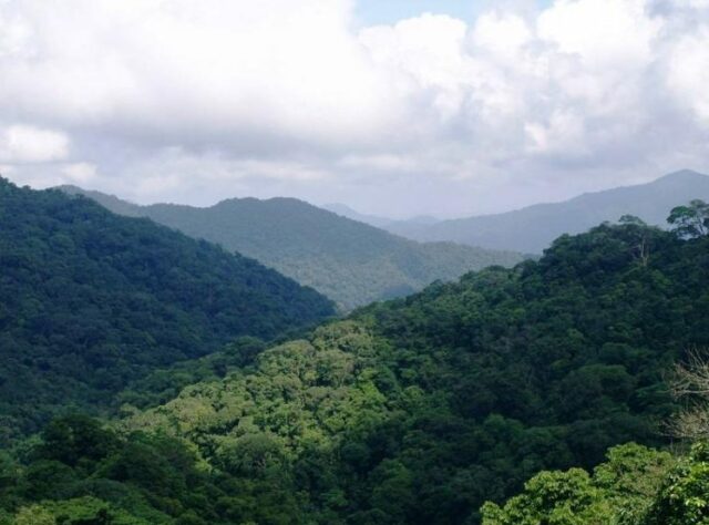 Khe Nuoc Trong forest, Vietnam