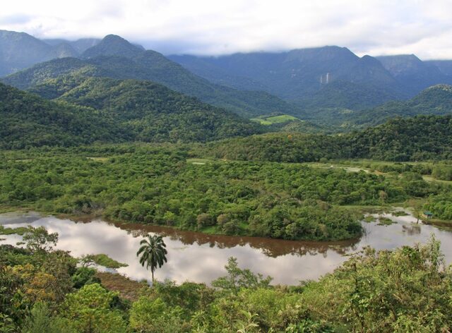 REGUA reserve.