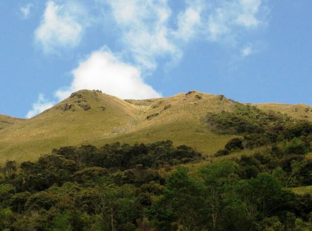 Segunda y Cajas.