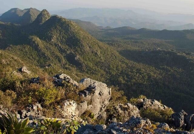 Sierra Gorda forests and mountains