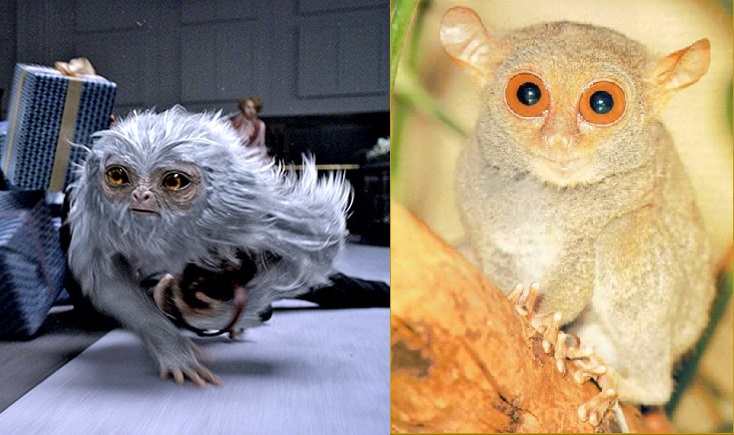 demiguise