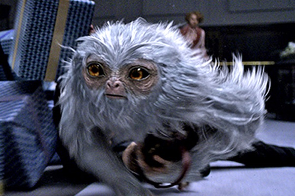 fantastic-beasts-demiguise-featured.jpg