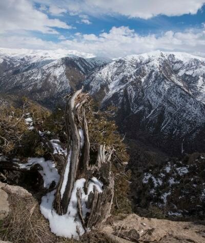 Mountain landscape