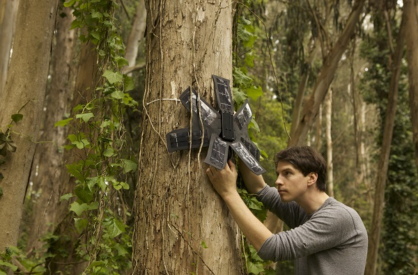 Rainforest Connection