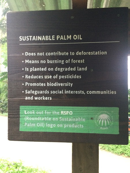 Palm Oil information