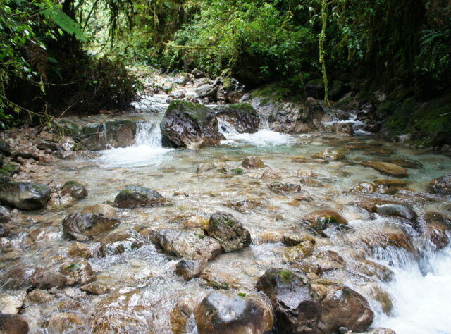 Stream within San Isidro, Guatemala, Credit Fundaeco.
