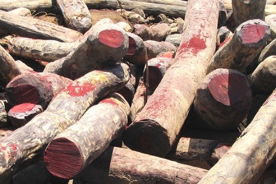 Rosewood logs