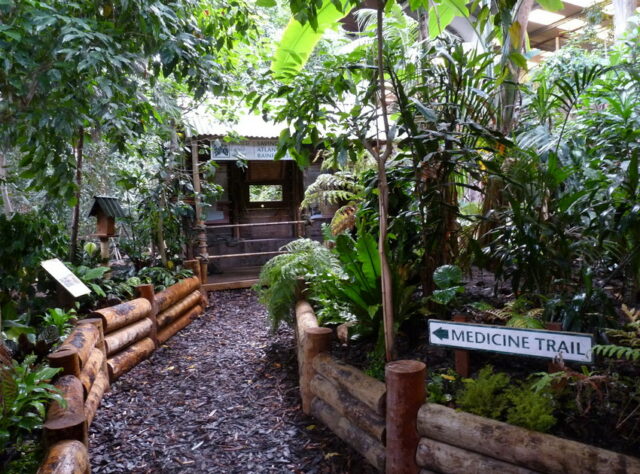 Chelsea Exhibit at Chester Zoo