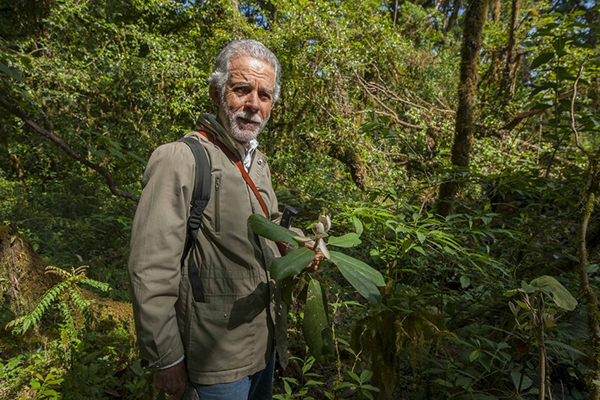 Roberto Pedraza Muñoz holding a magnolia species discovered in Sierra Gorda and named after his family, Magnolia pedrazae