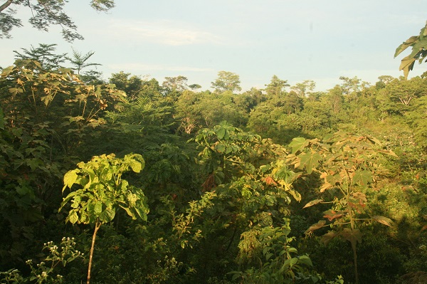 El Silencio Reserve