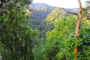 Buenaventura Reserve. Image: Andrew Smiley