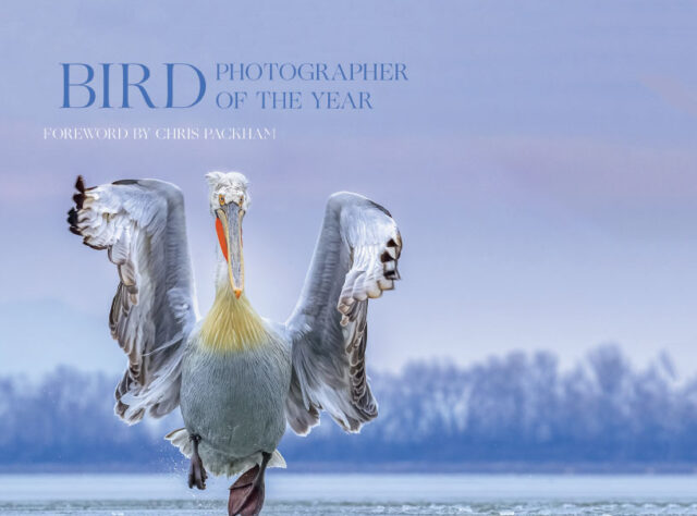 Bird Photographer of the Year cover