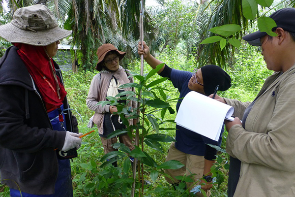 hutan-monitoring-seedling-growth