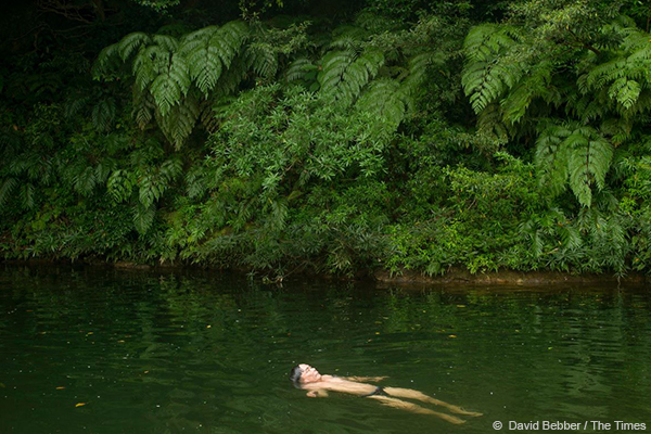 © David Bebber