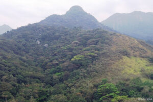 The Body Shop supported this area atREGUA