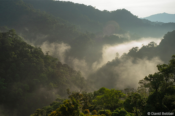 Khe Nuoc Trong © David Bebber