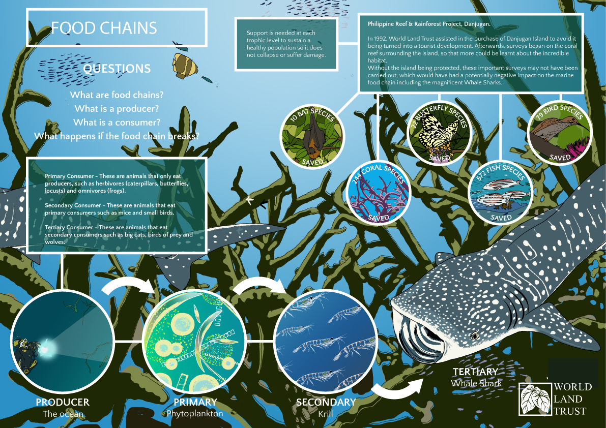 land food chains