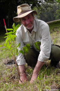 Simon Barnes plants a tree with Hutan, WLT’s partner in Malaysian Borneo.