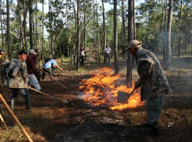 Fires Climate Humans Wildlife How Can We Respond World
