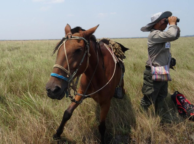 RS24472_Rene-with-horses-scr Rene and Horse © Asociación Armonía