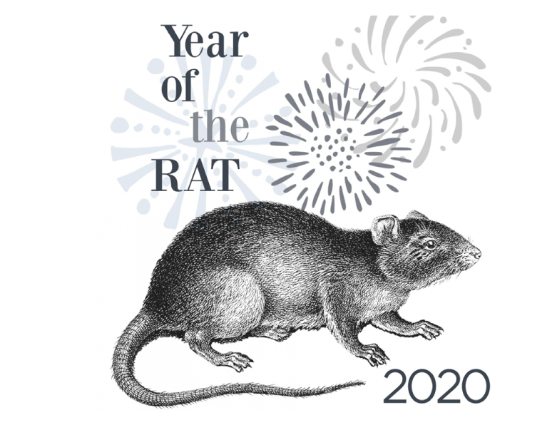 Камень год крысы. Rat year. Год крысы картинки. Rat year 2020. 2008 И 2020 года крысы.