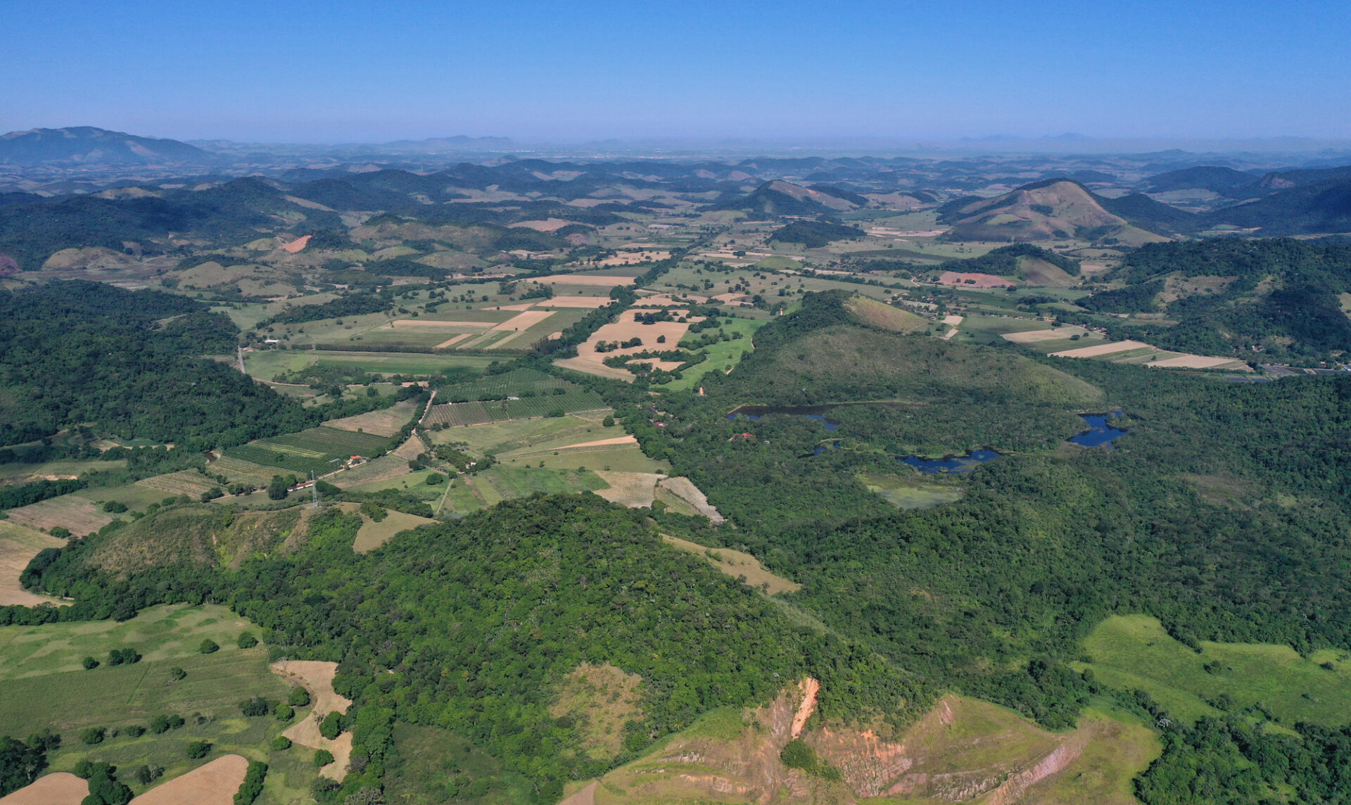 Saving Brazil's Atlantic Forest, Fragment by Fragment