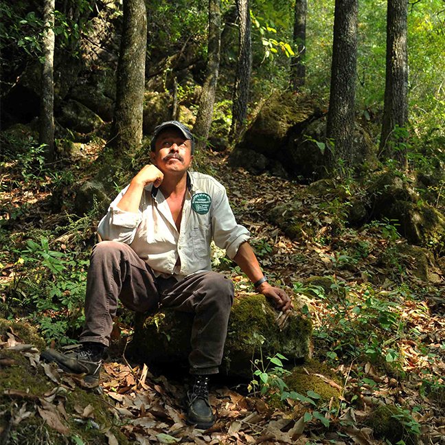 portal-keepers_of_the_wild_2-648x648-1