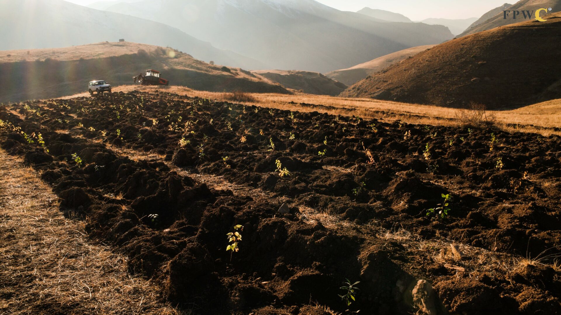 Armenia’s Plant a Tree project seen from the sky
