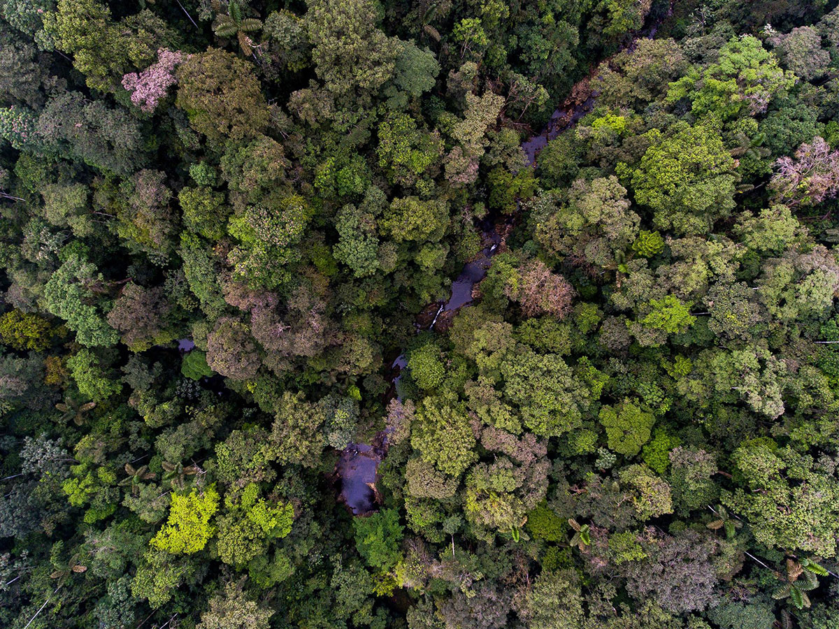 Buy an Acre