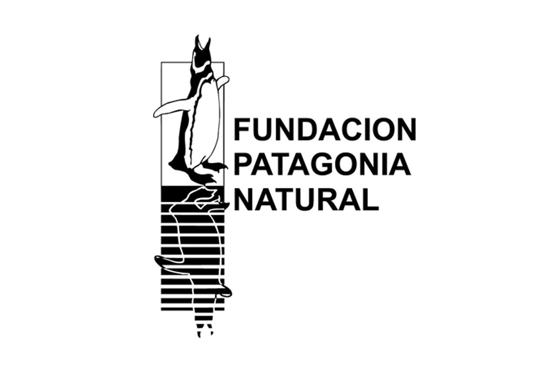 FPN Logo