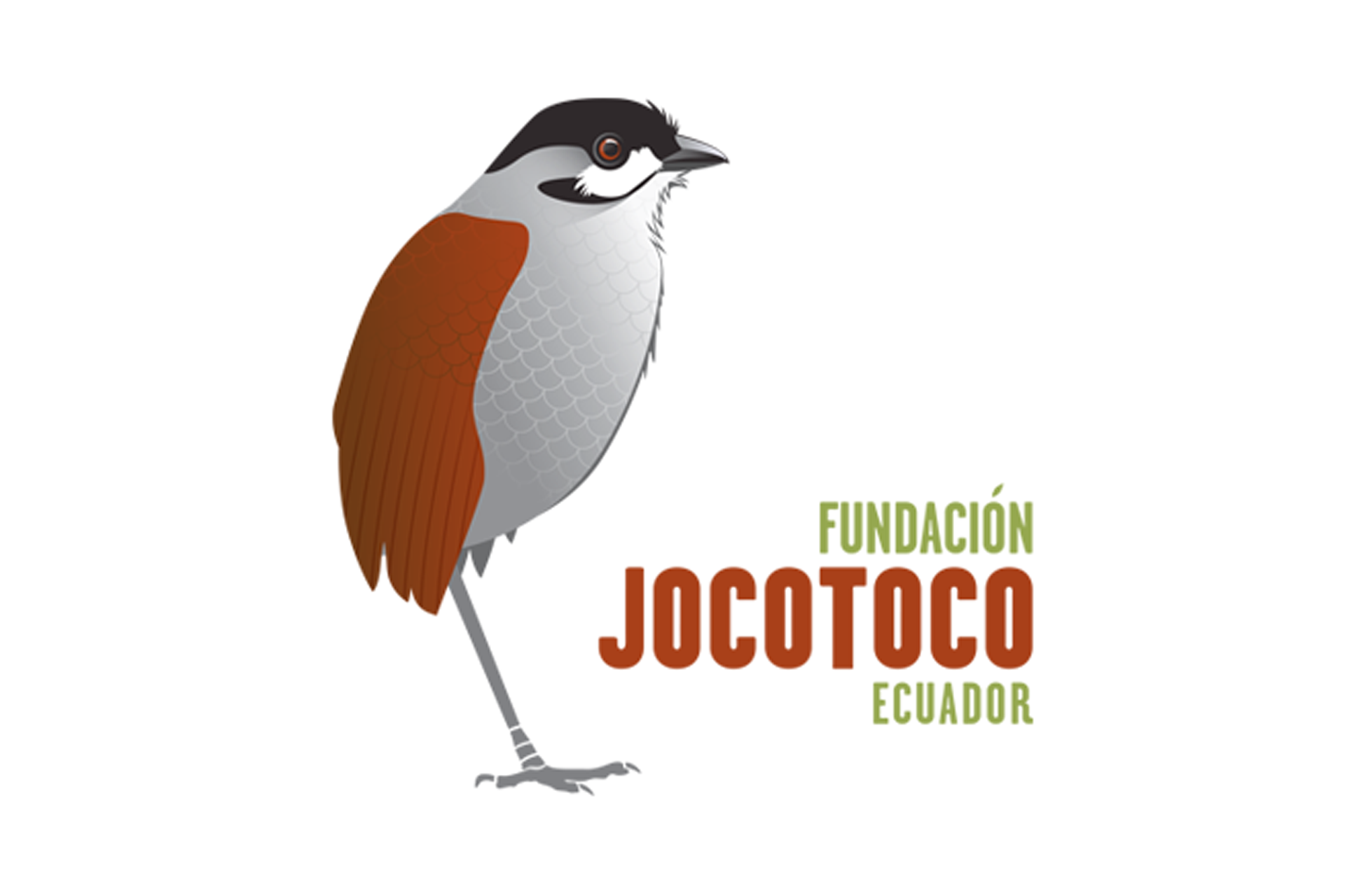 Fundacion Jocotoco