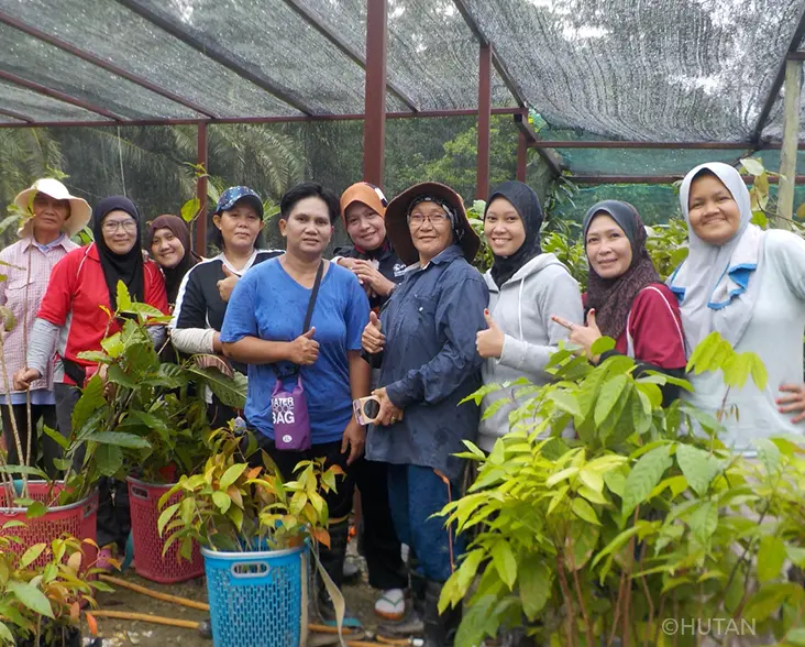 HUTAN-tree-nursery