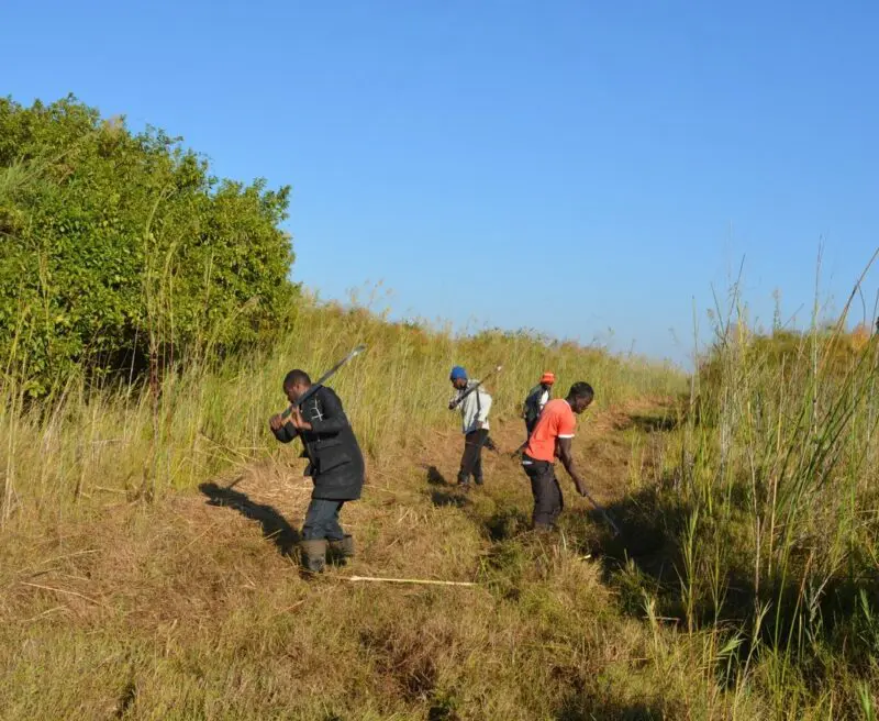 Kasanka habitat maintenance