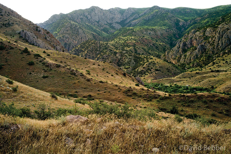 Armenia CWR landscape