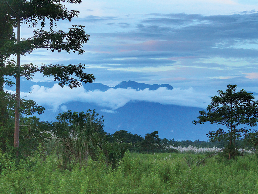 A view of the landscape in the Dering-Dibru elephant corridor.