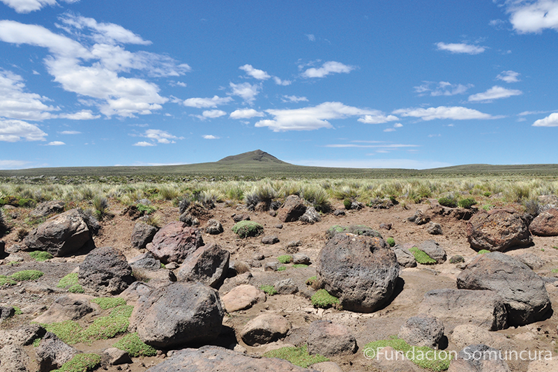 A view of the Somuncura Plateau