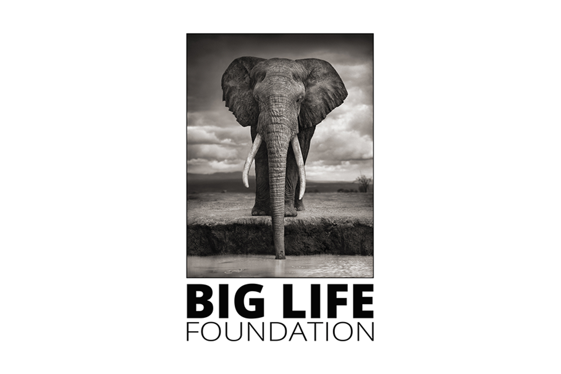 Big life logo